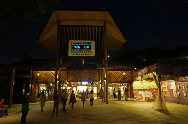 12. Night Safari, Singapore: Tại công viên động vật hoang dã này, du khách có thể khám phá cuộc sống của các loài động vật vào cả ban ngày lẫn ban đêm.