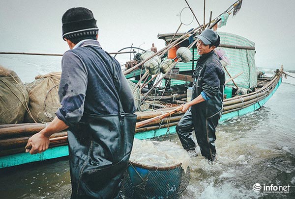 Thanh Hóa: Ngư dân Hải Hòa vào mùa đánh bắt sứa - 2