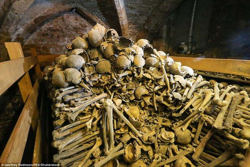 Anh: Hầm mộ chứa 2.500 đầu lâu từ thế kỷ 13 - 3