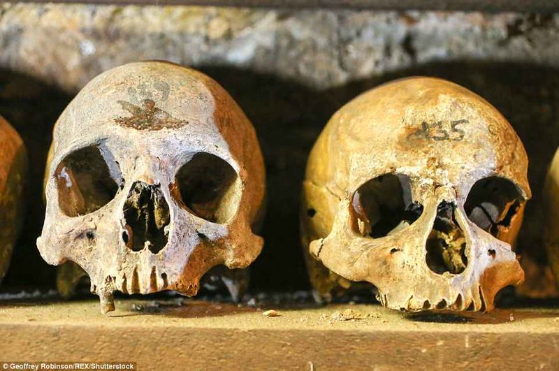 Anh: Hầm mộ chứa 2.500 đầu lâu từ thế kỷ 13 - 4