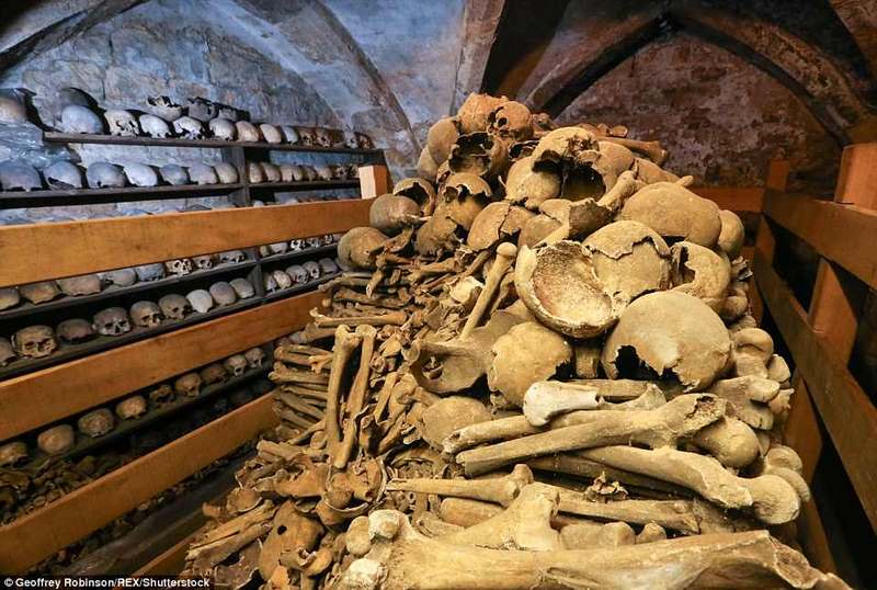 Anh: Hầm mộ chứa 2.500 đầu lâu từ thế kỷ 13 - 5