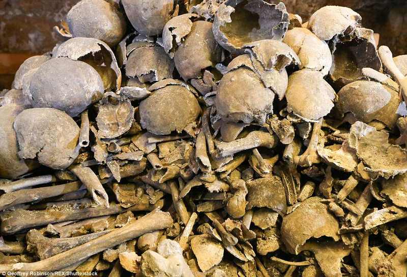 Anh: Hầm mộ chứa 2.500 đầu lâu từ thế kỷ 13 - 6