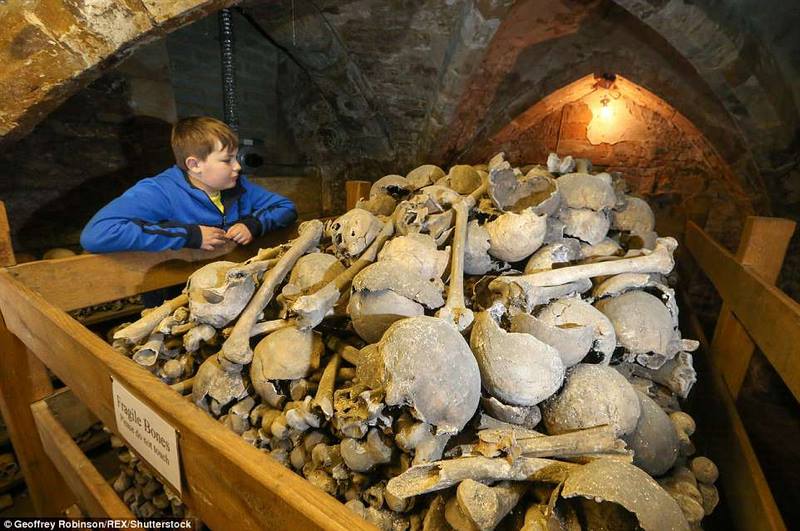 Anh: Hầm mộ chứa 2.500 đầu lâu từ thế kỷ 13 - 7