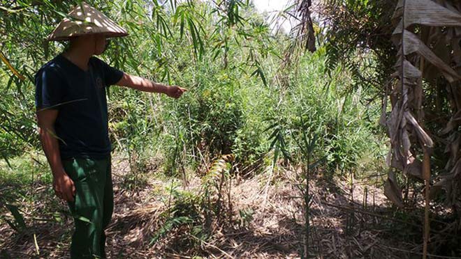 Nữ nhân viên bảo hiểm chết bất thường bên con suối cạn - 2