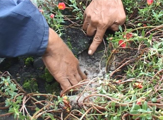 Quái gở chuyện "trấn yểm" mồ mả bằng quần lót sơn đỏ ở Huế - 1