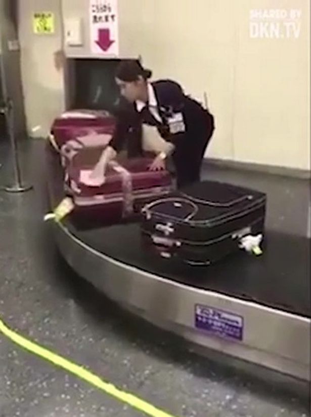 Video nhân viên sân bay Nhật Bản lau từng vali cho khách gây sốt - 1