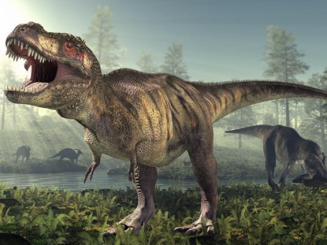 Đây mới là nguyên nhân khiến loài khủng long tuyệt chủng?