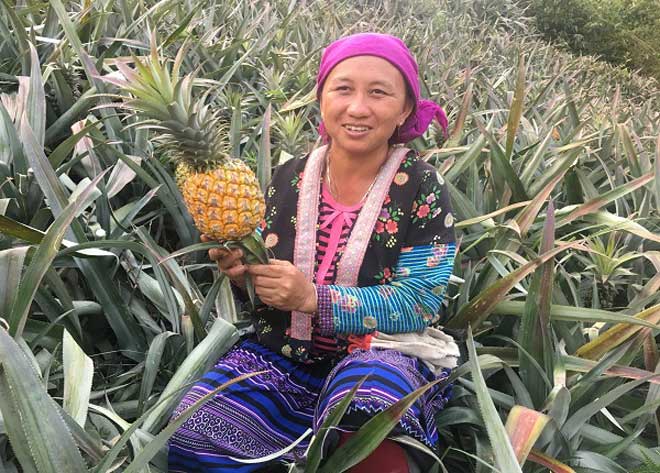 Lãi 200 triệu đồng/năm nhờ &#34;cây trăm mắt&#34; - 2