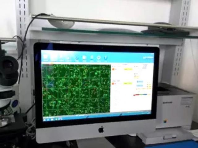 Thế giới - Trung Quốc: “Tư tưởng chính trị phải vững” mới được hiến tinh trùng