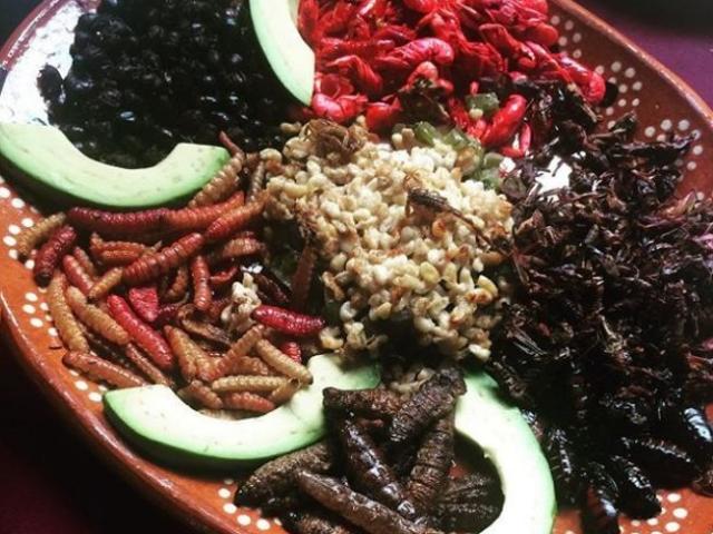 Ẩm thực - Khóc thét với những đặc sản côn trùng tại "Thành phố của những cung điện"