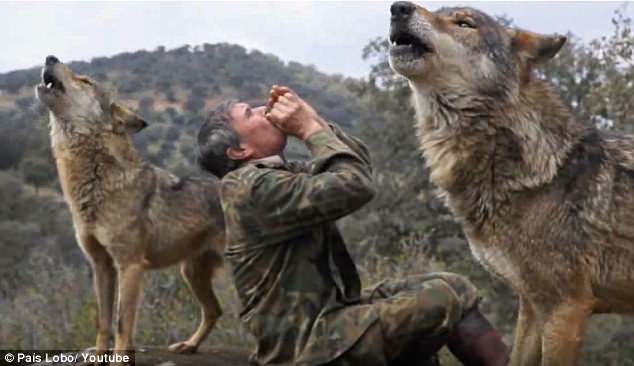 TBN: “Người rừng&#34; sống với chó sói 12 năm khổ sở khi sống với người - 1