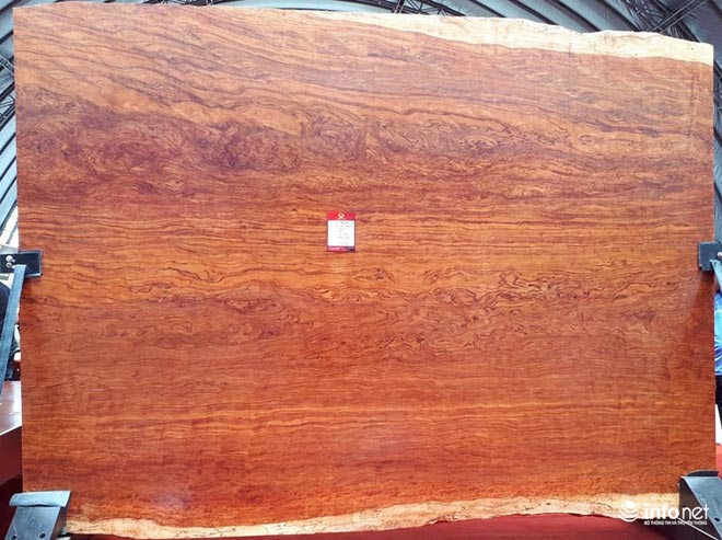 Đồ nội thất "cổ quái" giá tiền tỷ có vẻ ngoài xấu xí khó tin - 1