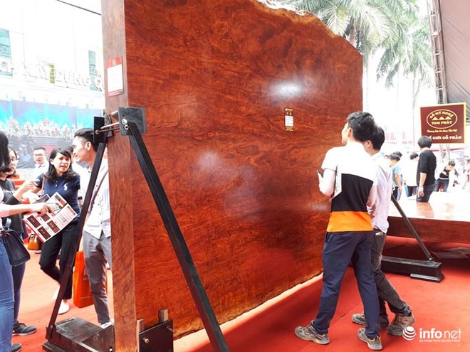 Đồ nội thất "cổ quái" giá tiền tỷ có vẻ ngoài xấu xí khó tin - 2