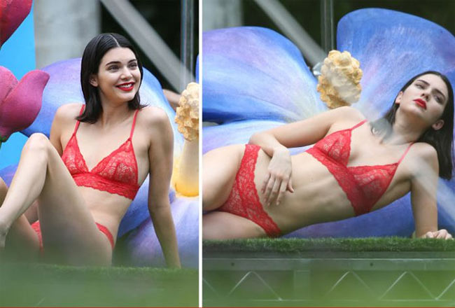 Trưởng thành từ show truyền hình về gia đình, Kendall là hotgirl, itgirl nổi tiếng nước Mỹ.