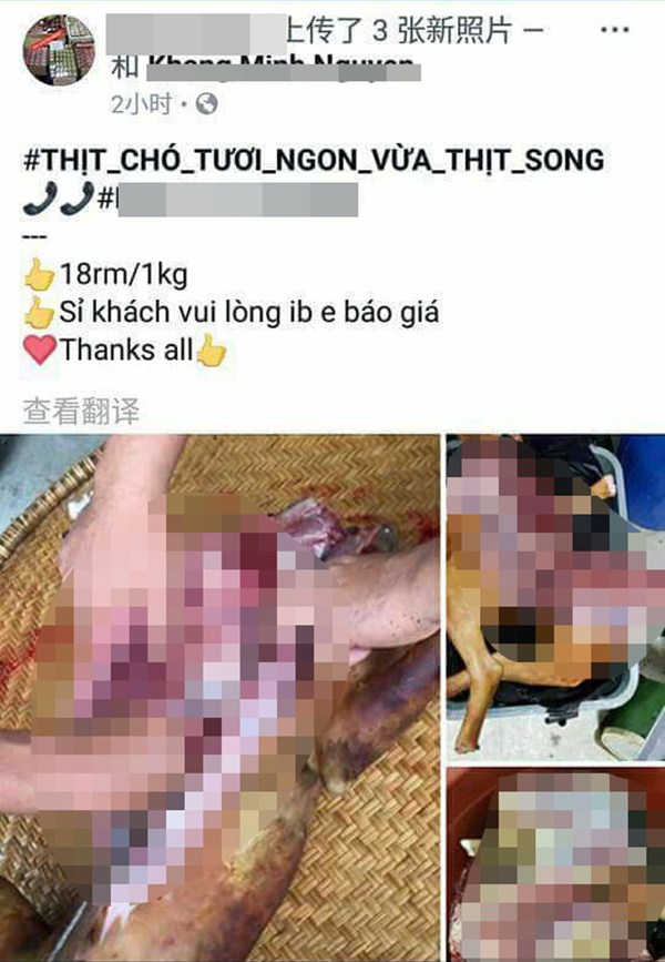 Cảnh công khai ‘làm thịt’ chó, mèo của Việt Nam khiến nước ngoài khiếp sợ - 1