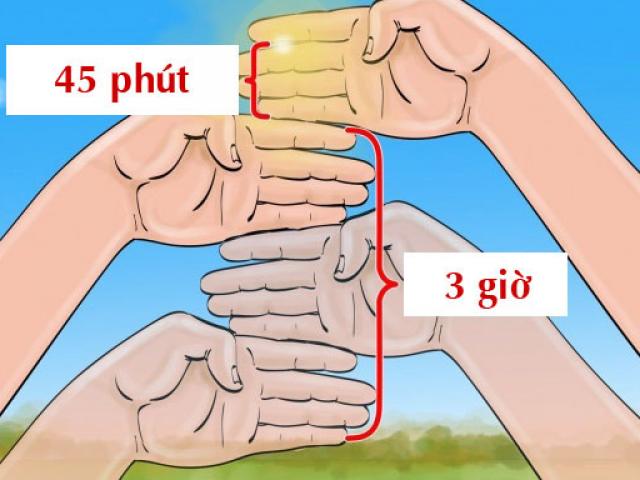 Sức khỏe đời sống - 13 quy tắc sống còn trong những tình huống nguy hiểm ai cũng nên biết