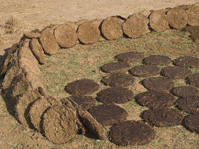 Thị trường - Tiêu dùng - Mặt hàng làm từ phân bò nhưng tượng trưng cho sự giàu có, người người tranh nhau mua