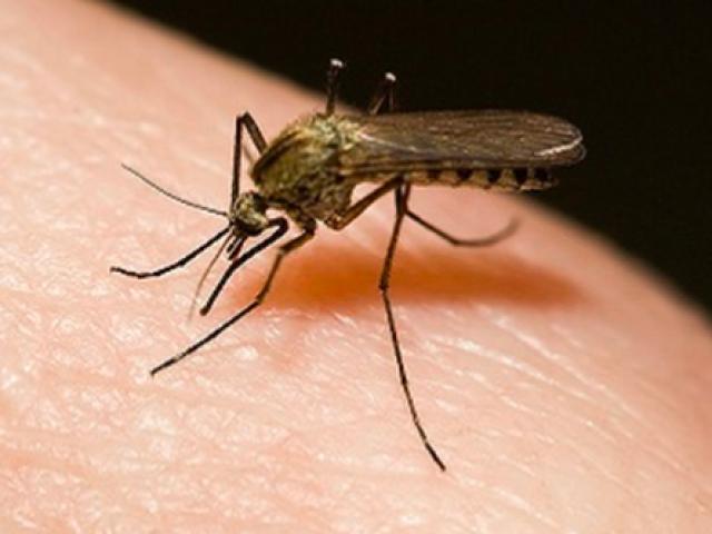 Nữ sinh 15 tuổi tử vong vì sốt xuất huyết biến chứng
