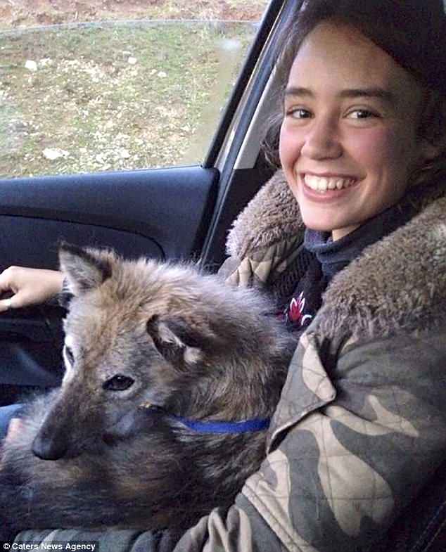 Cô gái Anh hội ngộ chú chó cứu khỏi lò mổ tại Việt Nam - 1