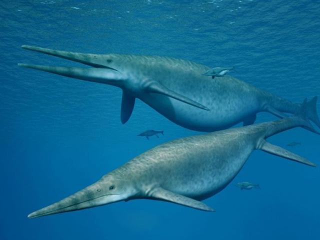 Thế giới - Tìm thấy xương của “rồng biển” 205 triệu năm to nhất thế giới