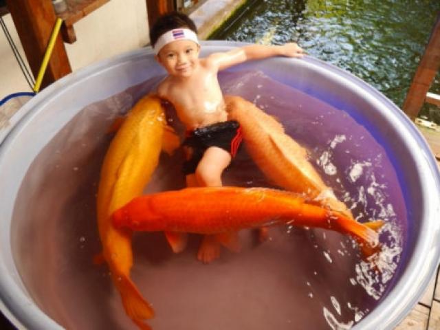 Bạn trẻ - Cuộc sống - Cậu bé "vẫy vùng" cùng 3 chú cá siêu 'khủng' trong bồn tắm