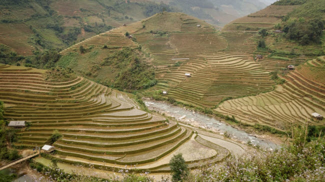 Ruộng bậc thang Than Uyên: Nằm tại vùng hẻo lánh của tỉnh Lai Châu, ruộng bậc thang Than Uyên là địa điểm lý tưởng dành cho các “phượt thủ”. Phong cảnh ở đây đẹp nhất vào mùa thu hoạch từ tháng 9 đến tháng 11 hằng năm.