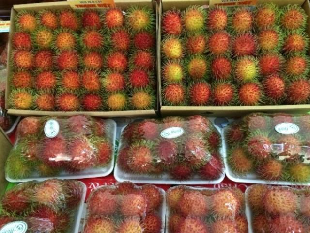 Thị trường - Tiêu dùng - Chôm chôm tăng giá cao ngất, nông dân tiếc ngẩn tiếc ngơ