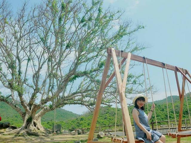Giới trẻ đứng ngồi không yên với trang trại ”sống ảo” nhất Phú Yên