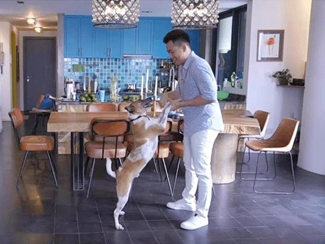 Ca nhạc - MTV - Hồ Trung Dũng đi hát 10 năm, mua căn hộ 8 tỷ đồng