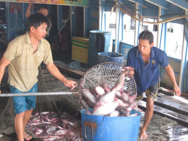 Thị trường - Tiêu dùng - Trung Quốc ồ ạt nhập khẩu hàng từ Việt Nam