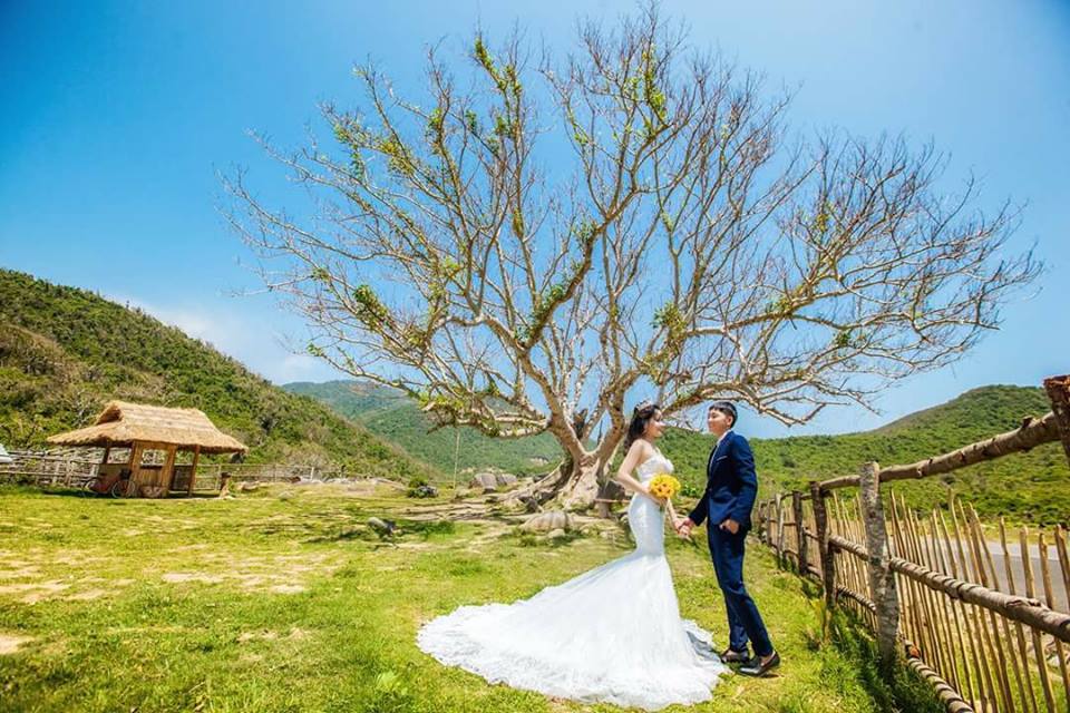 Giới trẻ đứng ngồi không yên với trang trại &#34;sống ảo&#34; nhất Phú Yên - 12
