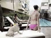 Tranh vui - Gái xinh bối rối khi bất ngờ bị động vật &quot;quấy rối&quot;