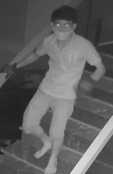 Mở camera giật bắn người thấy trộm mắt như đèn pha - 1