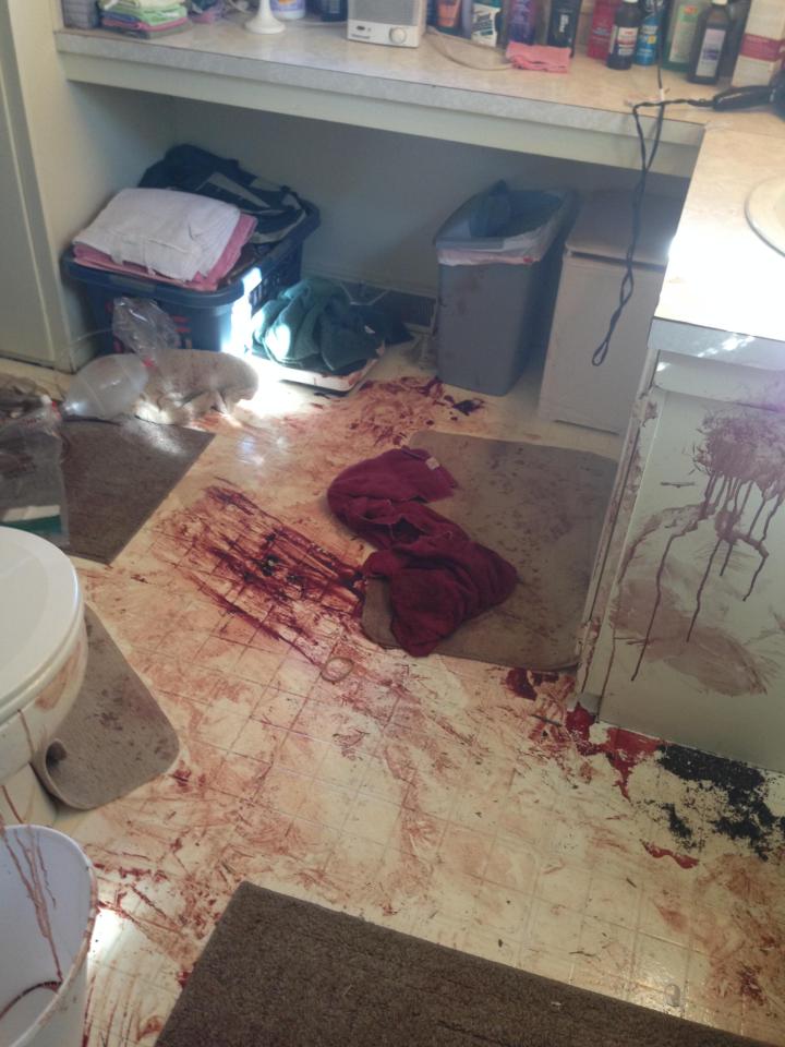 Ám ảnh nghề dọn hiện trường án mạng ở Mỹ - 3