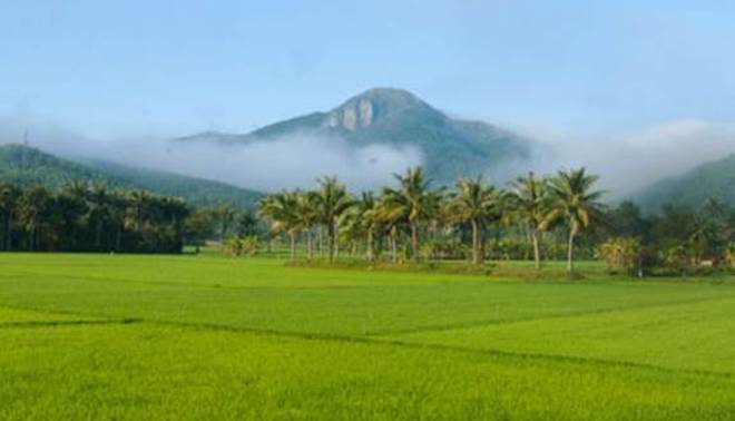 Những "thiên đường" du lịch đẹp như mơ của Phú Yên có thể bạn chưa biết - 8