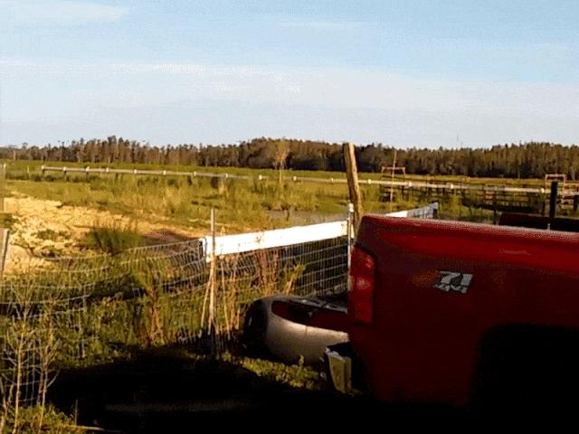 Video Clip Cười - Bằng chứng về lý do "phụ nữ sống lâu hơn đàn ông"