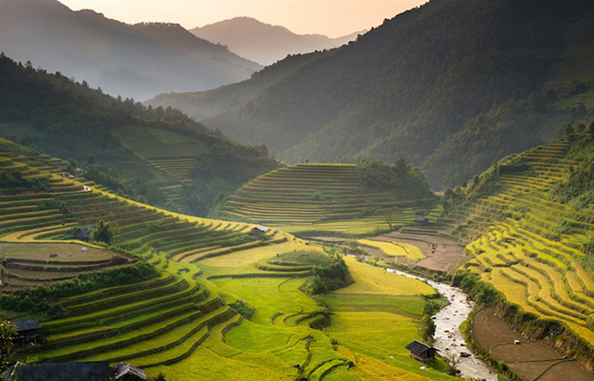 Sa Pa: Là một thị trấn ở phía tây bắc Việt Nam, Sapa đẹp lung linh với những ruộng lúa bậc thang ở thung lũng Mường Hoa giữa thị trấn Sa Pa và núi Fansipan.