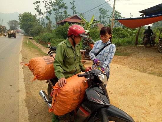 Mùa mận chín, Chiềng Cọ thêm nhiều triệu phú nông dân - 5