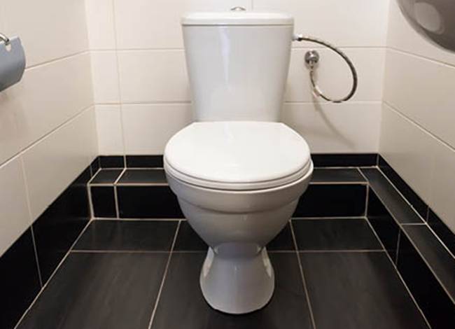 Biết được những lý do này, chắc chắn bạn sẽ đậy nắp bồn cầu khi xả nước - 1