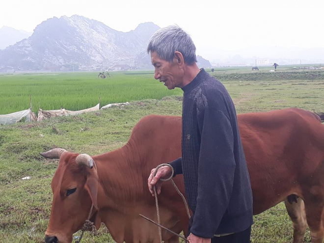 Vụ chăn trâu bò phải đóng tiền: &#34;Suy nghĩ tốt nhưng cách làm sai&#34; - 1