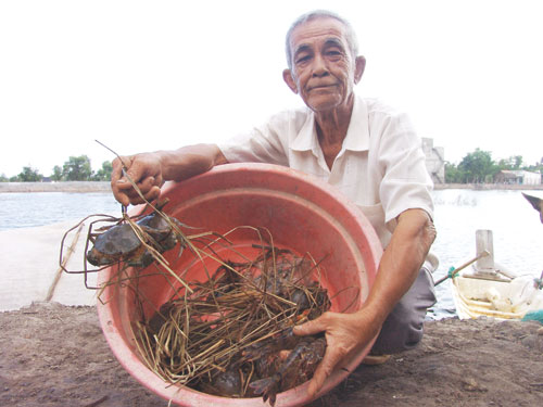 Làm giàu ở nông thôn: Cuộc “dạo chơi” tiền tỷ với tôm, cua hoang dã - 1