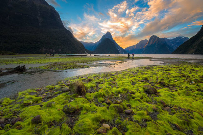 Milford Sound, New Zealand: Đây là địa điểm ngắm hoàng hôn được nhiều du khách lựa chọn khi tới New Zealand.
