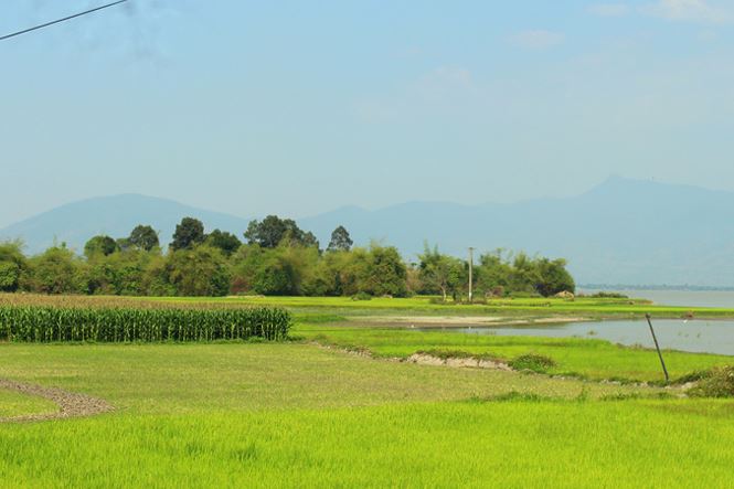 Huyền bí rừng mộ ché của người M’Nông (kỳ 2):Thám hiểm rừng thiêng - 3