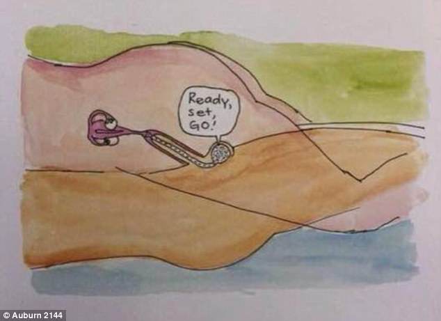 Sách trẻ em minh họa cảnh "làm ra trẻ em" gây tranh cãi ở Mỹ - 3