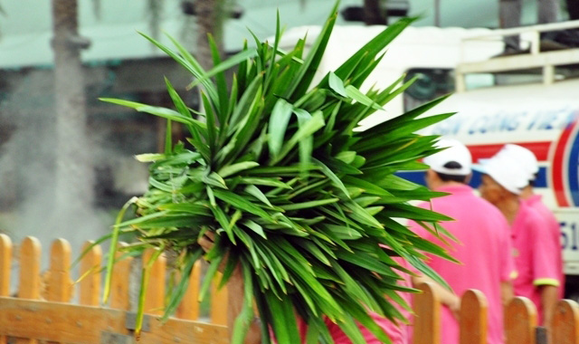 Lần hưởng lộc Vua Hùng đáng nhớ nhất của người Sài Gòn - 13
