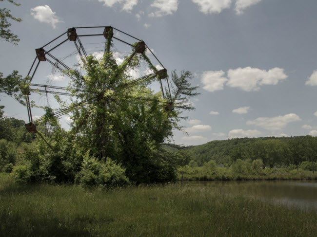 Vòng đu quay bị bao phủ bởi cây dại trong công viên giải trí Lake Shawnee.