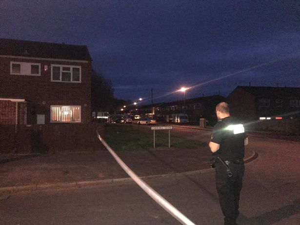 Anh: Nhặt “củ khoai” về nhà, không ngờ là vũ khí chết người - 2