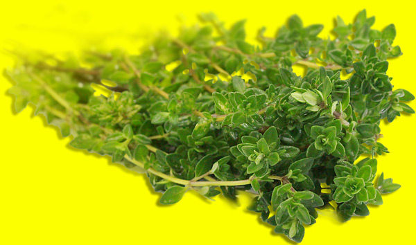 Làm cách này 2 lần/ngày, bé ho, đờm, viêm hô hấp mấy cũng hết. Cực nhạy! - 5