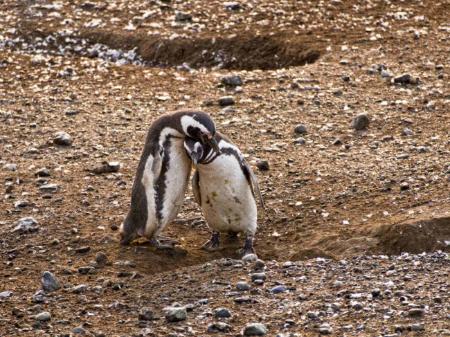 Bạn có muốn biết nơi tận cùng của Trái đất trông như thế nào? - 12
