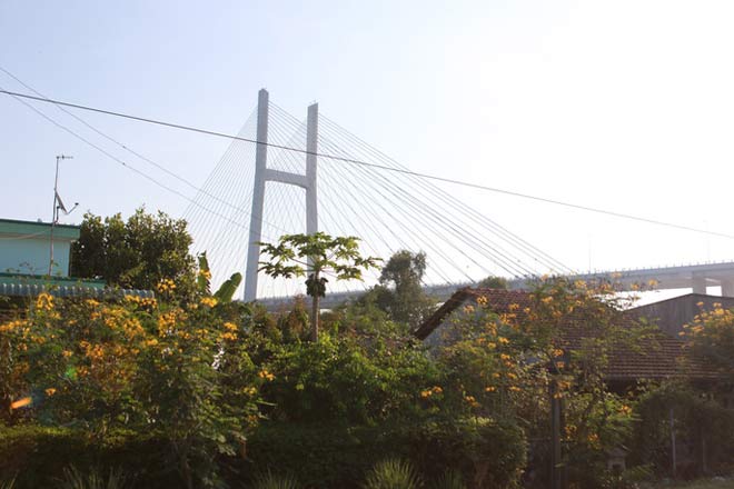 Những chuyến phà cuối ở Cao Lãnh - 8